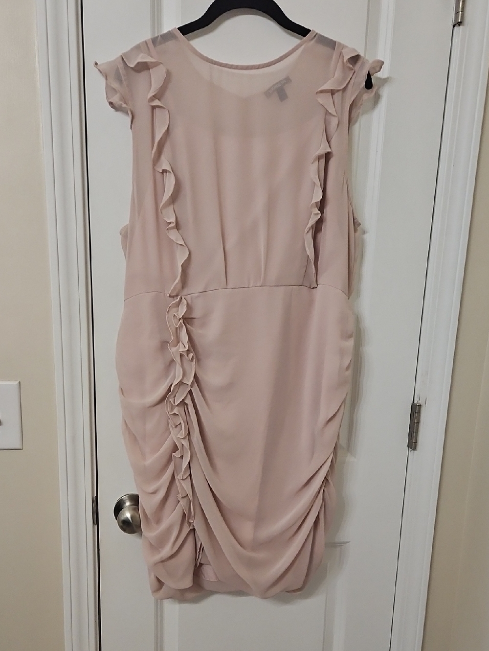 Express Sheer Ruffle-Detail Blush Women’s Dress